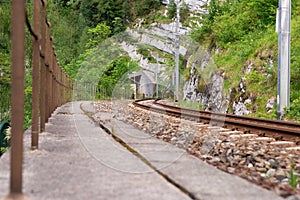 Empty railroad tracks leading into a dark tunnel