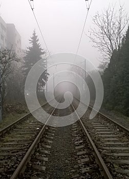 Empty railroad tracks partially covered in thick fog