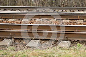 Empty railroad tracks, sleepers on the background of trees