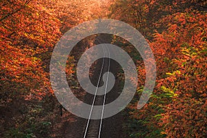 Empty Railway in Autumn Forest