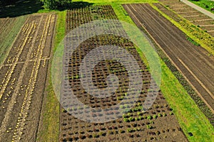 empty raised garden beds in the spring perid