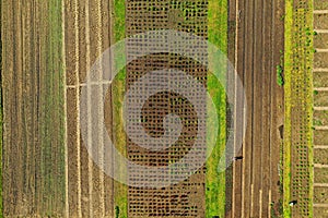 empty raised garden beds in the spring perid