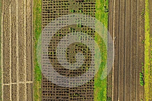 empty raised garden beds in the spring perid