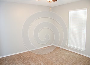Empty Remodeled Bedroom with Carpet