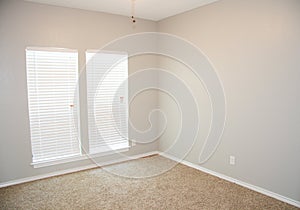 Empty Remodeled Bedroom with Carpet