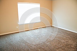 Empty Remodeled Bedroom with Carpet