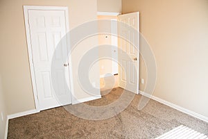 Empty Remodeled Bedroom with Carpet