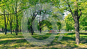 Empty Riga parks in sunny spring