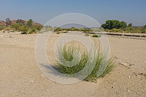 Empty Riverbed of Santa Clarita photo