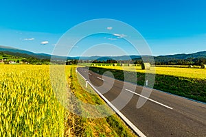 An empty road between agricultural fields leading to the mountains. Austrian rural landscape