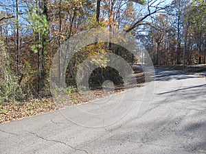 Empty road through autumn forest