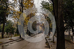 Empty road in autumn on a rainy day