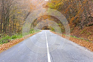 Prázdná silnice na podzim, Slovensko