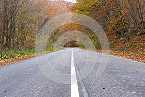 Empty road in autumn, Slovakia