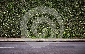 Empty road background with copy spcae