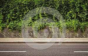 Empty road background