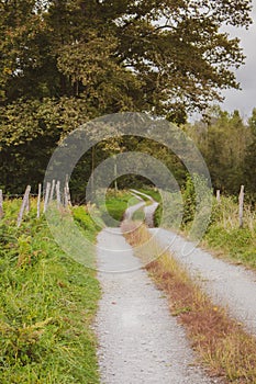 Empty road in countryside. Curve path to the forest. Camino de Santiago background. Way along the fence. Scenic summer landscape.