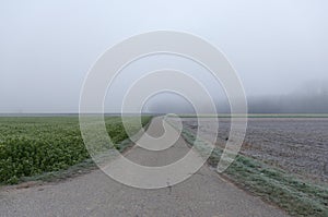 Empty road in countryside on a foggy day