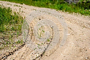 empty road in the countryside in summer