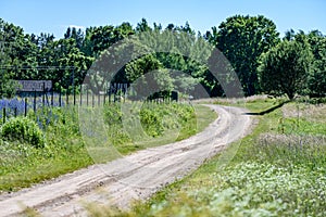 empty road in the countryside in summer