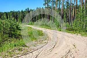 empty road in the countryside in summer