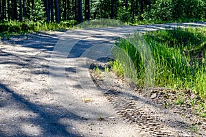 empty road in the countryside in summer