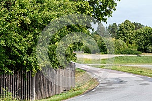 empty road in the countryside with trees and old wooden fence in