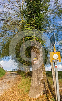 Empty road in countryside. Way along fence with Camino sign and shell in Piemonte region, France. Camino de Santiago background.