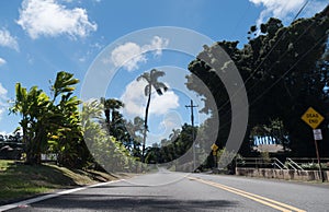 Empty road with  dead end sign in Hawi photo