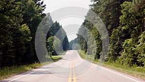 Empty Road Through Dense Forest