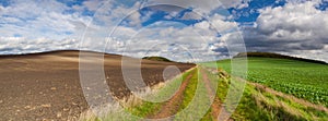 On the empty road between fields in autumn