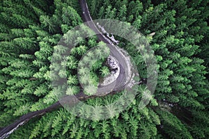 Empty road in a forest from a drone
