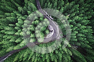 Empty road in a forest from a drone photo