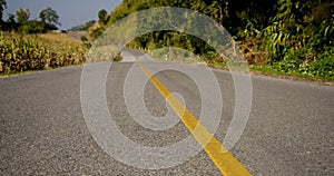 Empty Road with forest side
