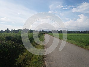 Empty road in green field