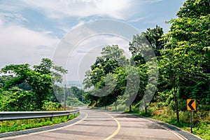 Empty road with green trees at Songsan Green City Observatory in Hwaseong, Korea