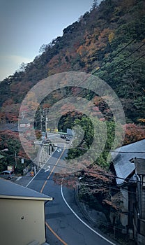 An Empty Road through Hakone Village