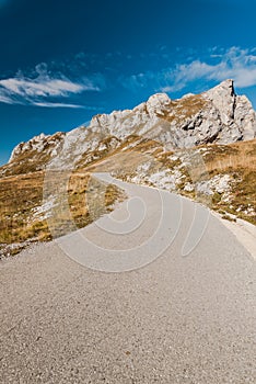 Empty road in high mountains in autumn colors