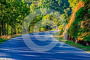 Empty Road in Himalayas photo