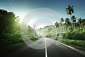 Empty road in jungle