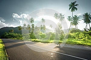 Empty road in jungle of Seychelles