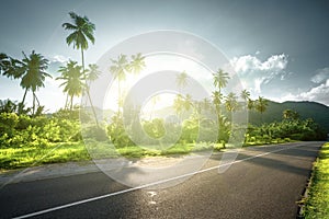Empty road in jungle of Seychelles