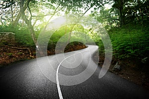 Empty road in jungle of Seychelles