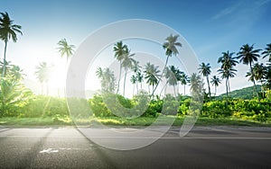 Empty road in jungle