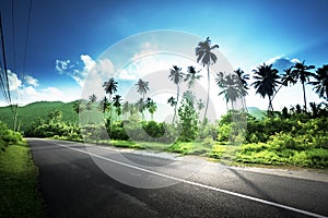 Empty road in jungle of Seychelles