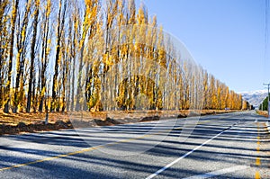 Empty road leading through scenic countryside, New Zealand