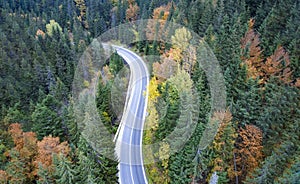 Empty road in the mountains through a dense forest, top view