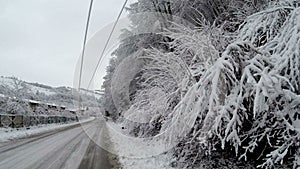 Empty road in the mountains during winter with snow covered trees on the side.