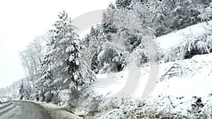 Empty road in the mountains during winter with snow covered trees on the side.