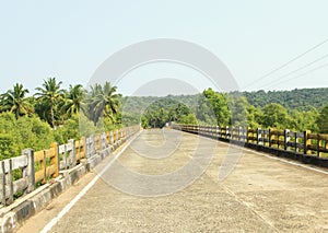 Road over a bridge in the tropics